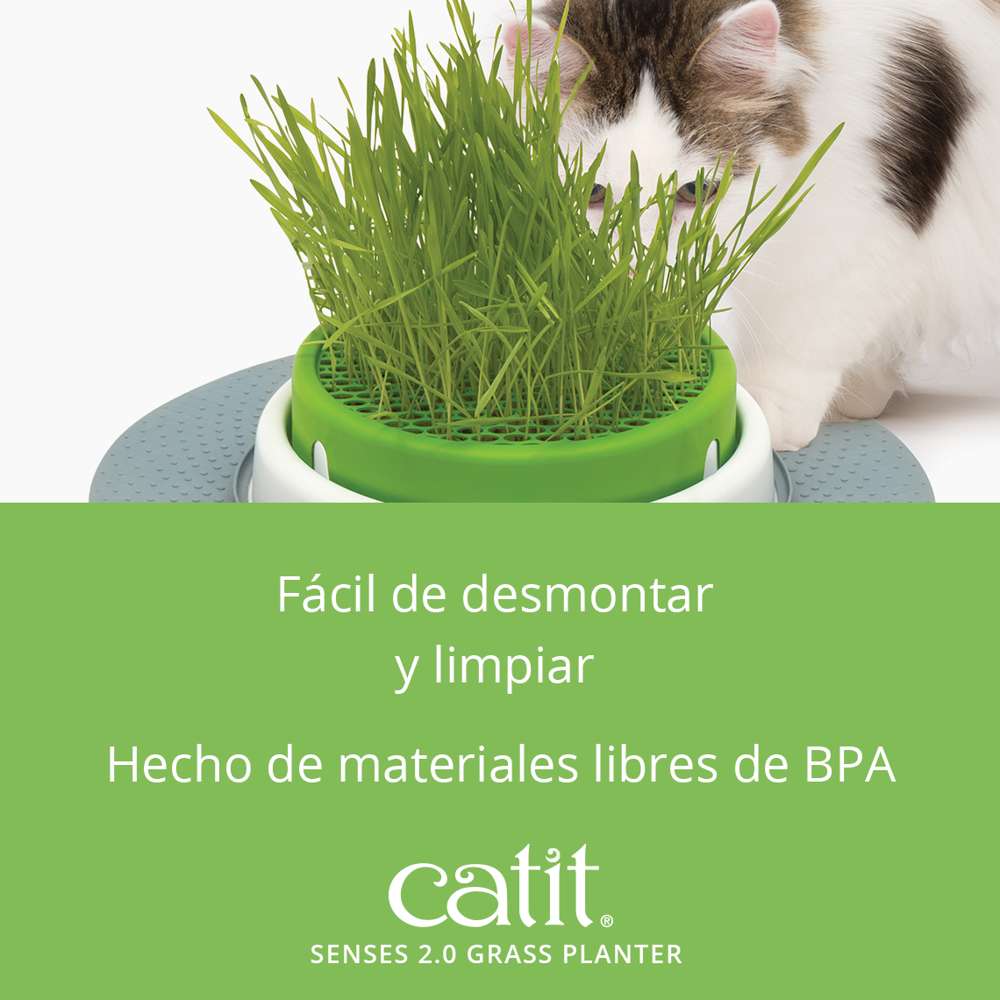 Imagen del producto 6
